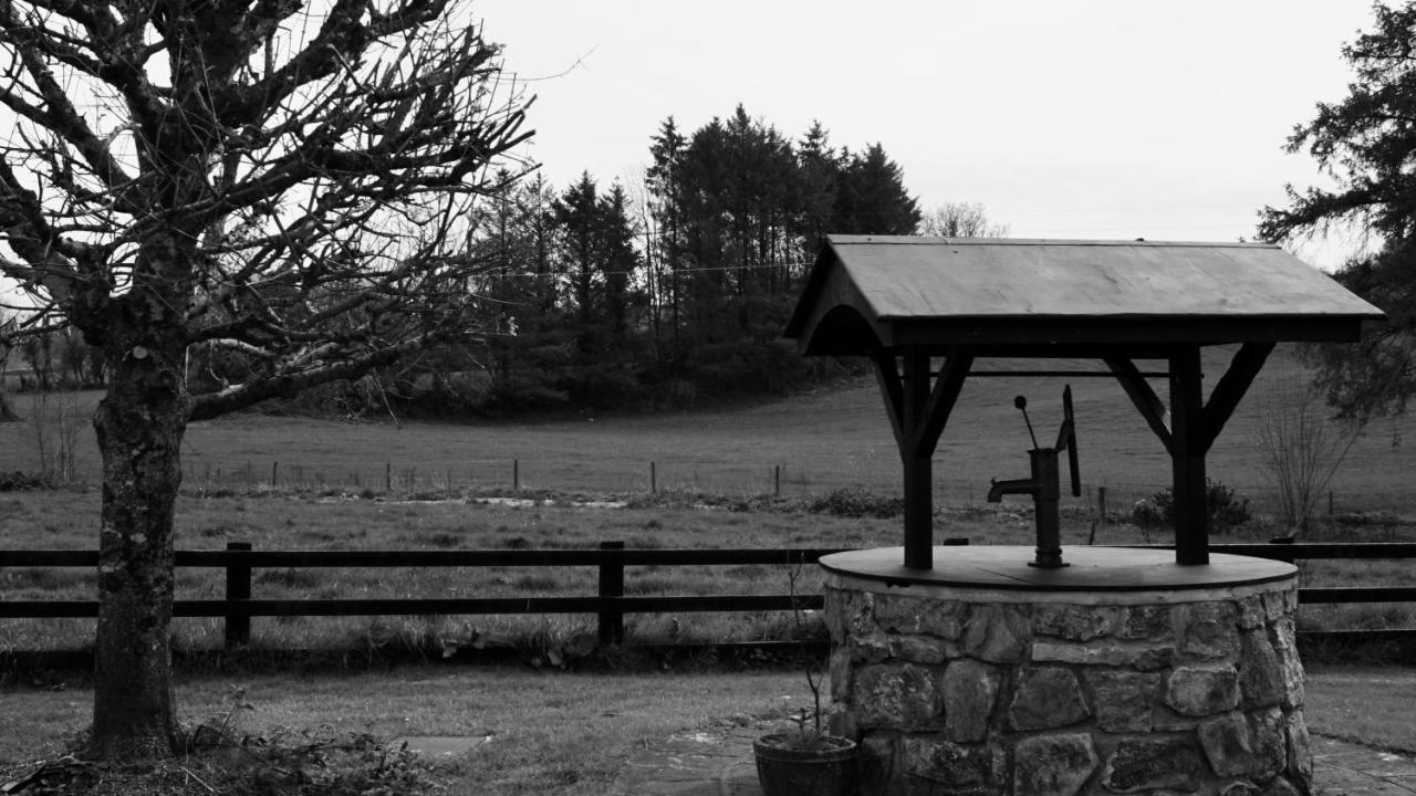 Bed and Breakfast Cartron House Ballinakill  Exteriér fotografie