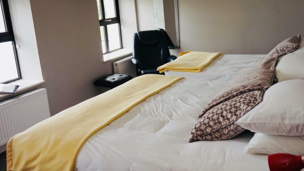 Bed and Breakfast Cartron House Ballinakill  Exteriér fotografie