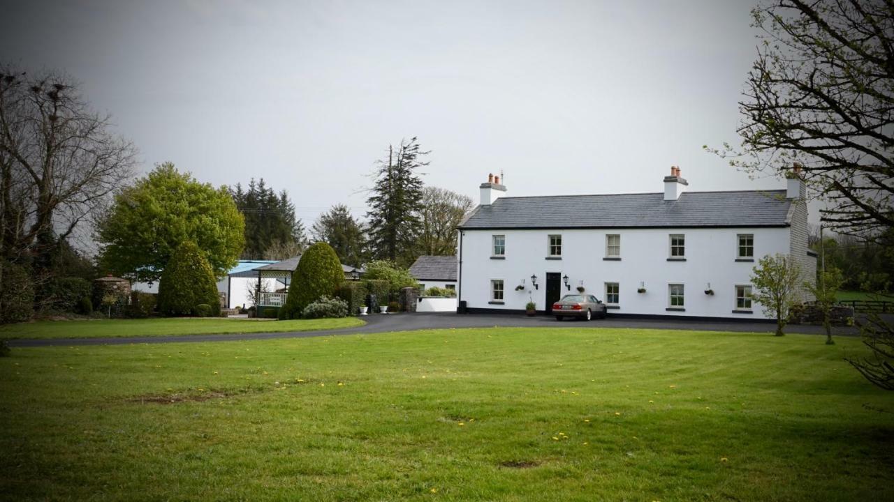 Bed and Breakfast Cartron House Ballinakill  Exteriér fotografie