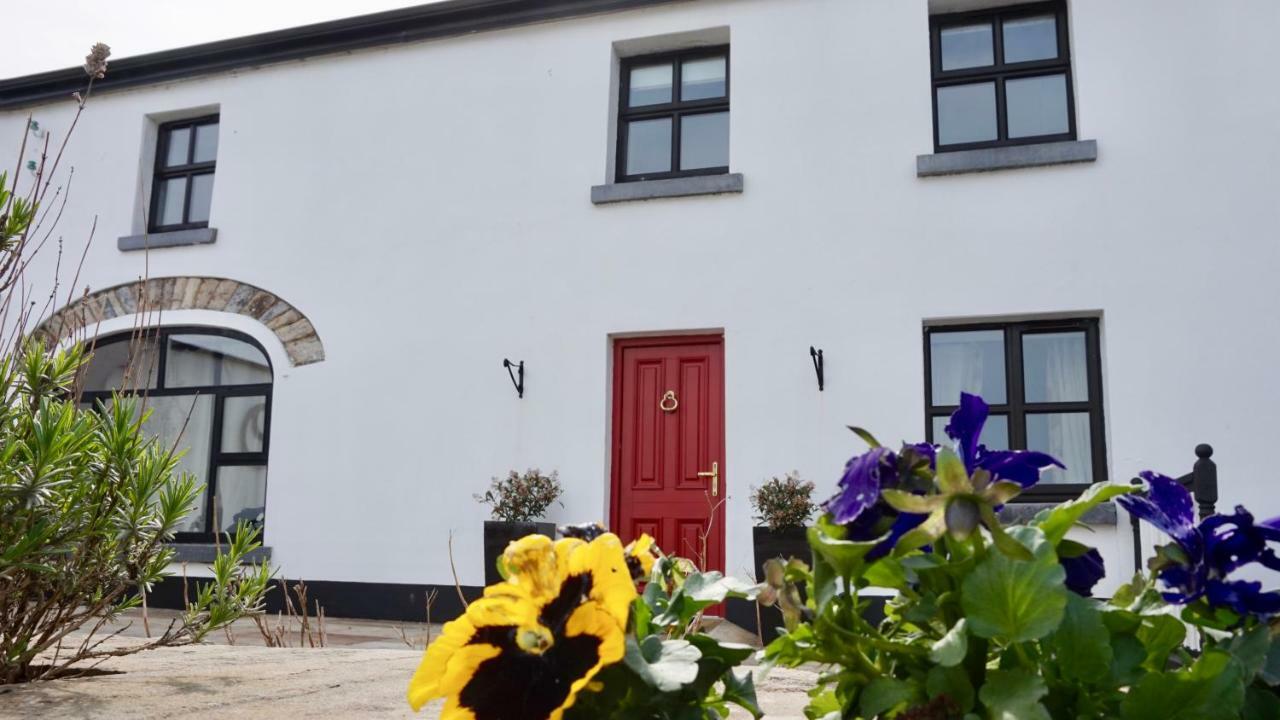 Bed and Breakfast Cartron House Ballinakill  Exteriér fotografie