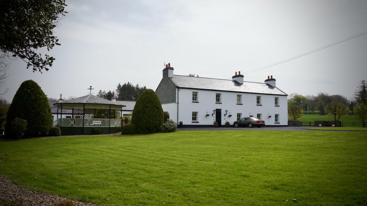 Bed and Breakfast Cartron House Ballinakill  Exteriér fotografie