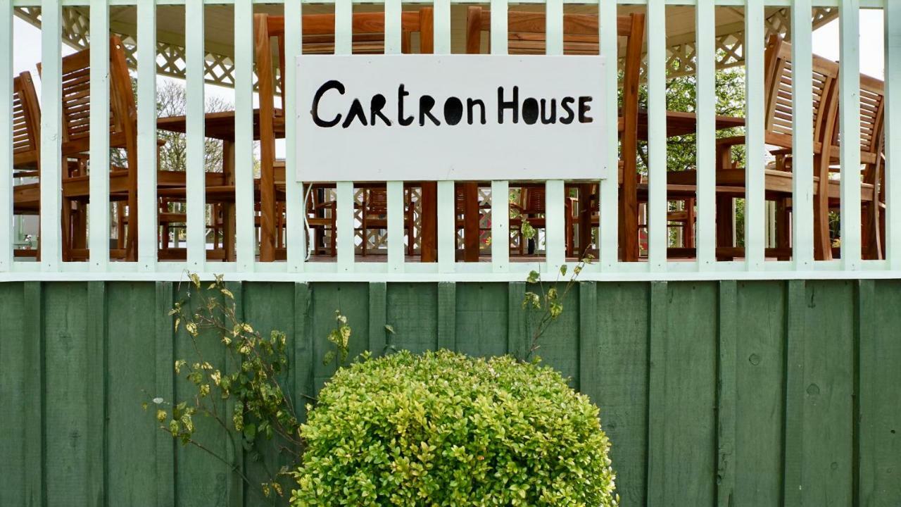 Bed and Breakfast Cartron House Ballinakill  Exteriér fotografie
