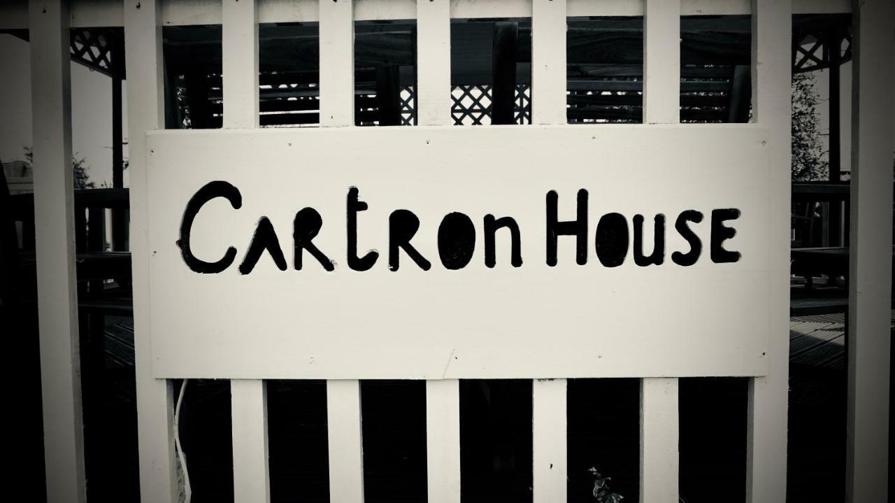 Bed and Breakfast Cartron House Ballinakill  Exteriér fotografie
