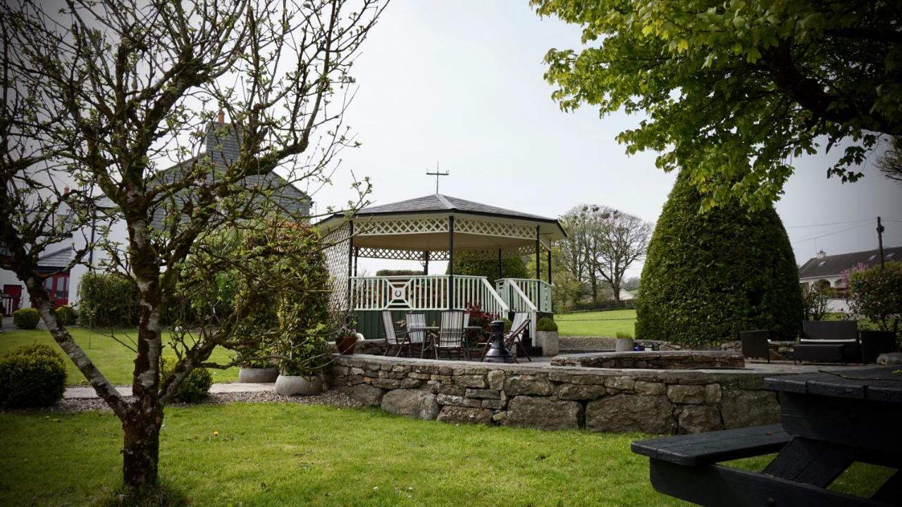 Bed and Breakfast Cartron House Ballinakill  Exteriér fotografie