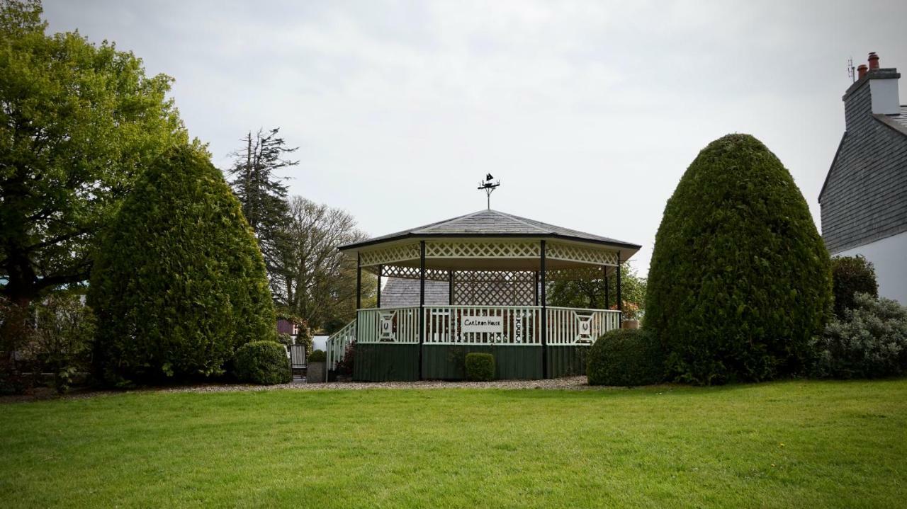 Bed and Breakfast Cartron House Ballinakill  Exteriér fotografie