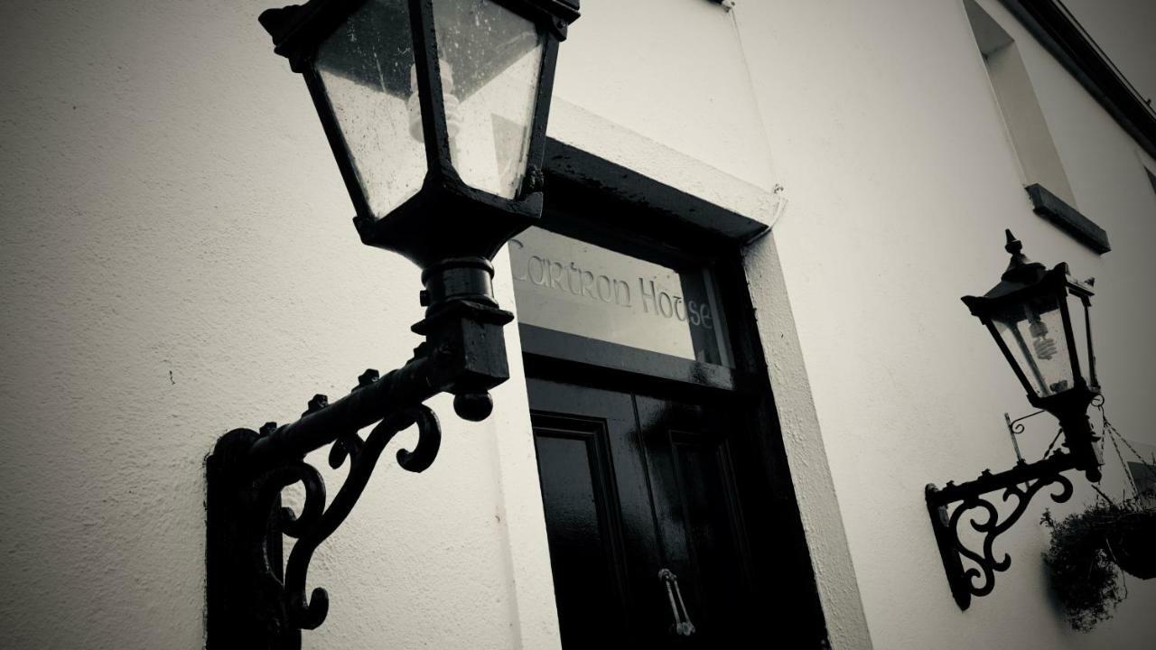 Bed and Breakfast Cartron House Ballinakill  Exteriér fotografie